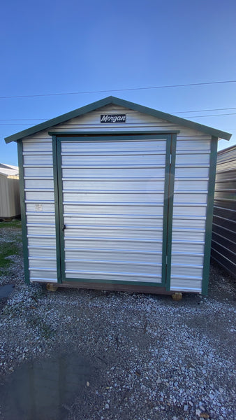 08 x 08 Peak Backyard Storage